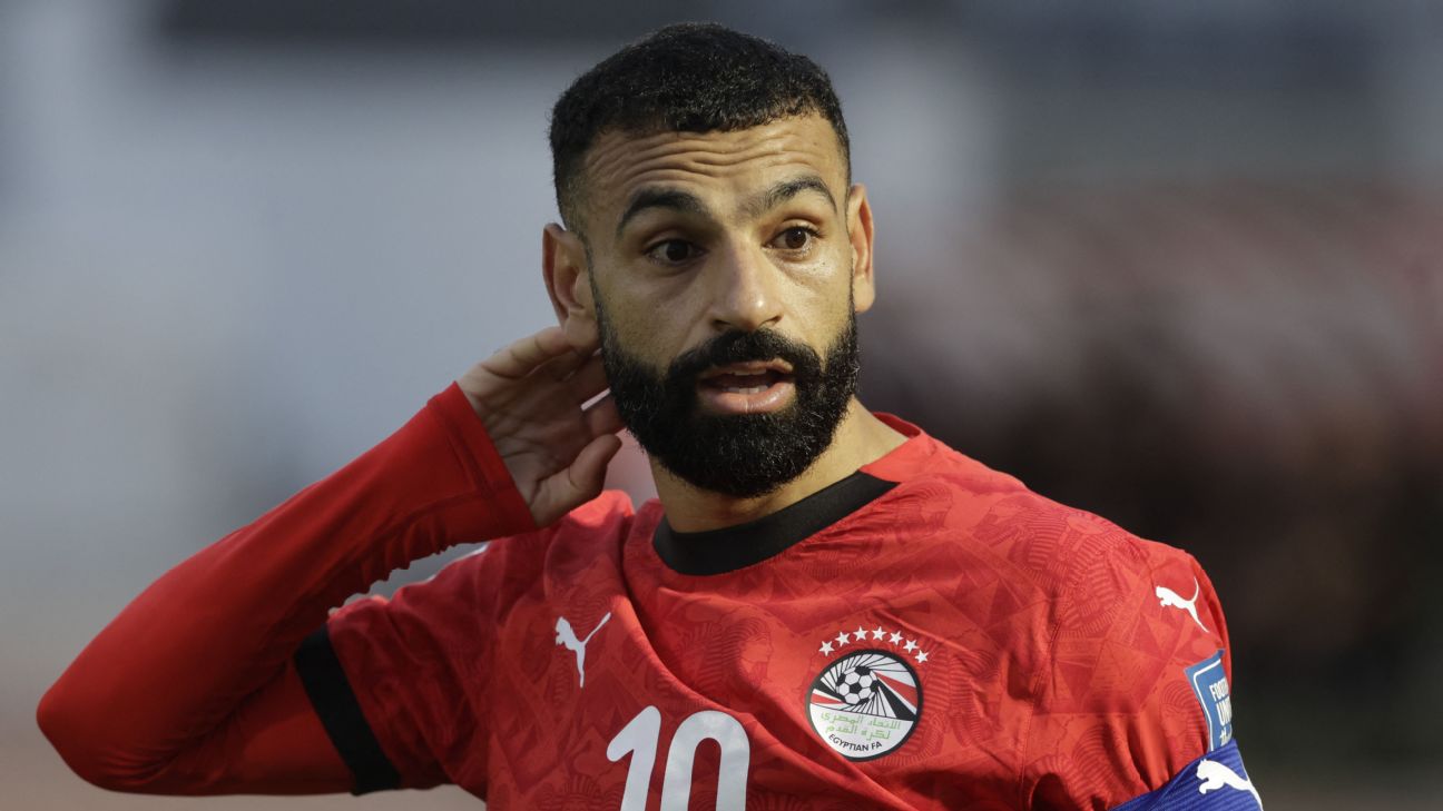 FIFA要求埃及队移除世界杯球衣七颗星标志